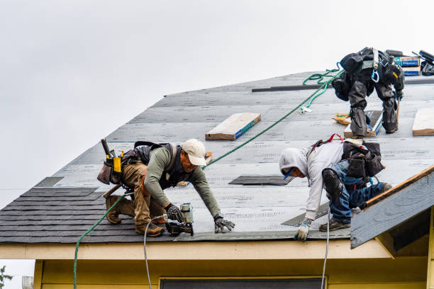Professional Storm Damage Roof Repair technician working in Stockett, MT